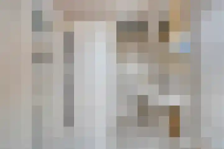 Rietvoornborch 2 Rosmalen thumbnail 16