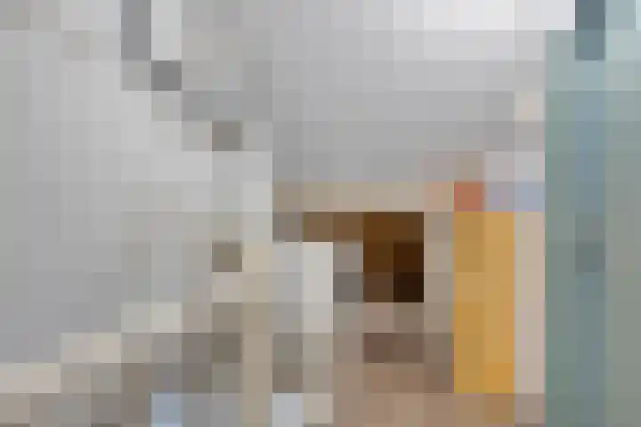 Rietvoornborch 2 Rosmalen thumbnail 17