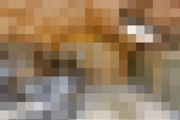 Rietvoornborch 2 Rosmalen thumbnail 23
