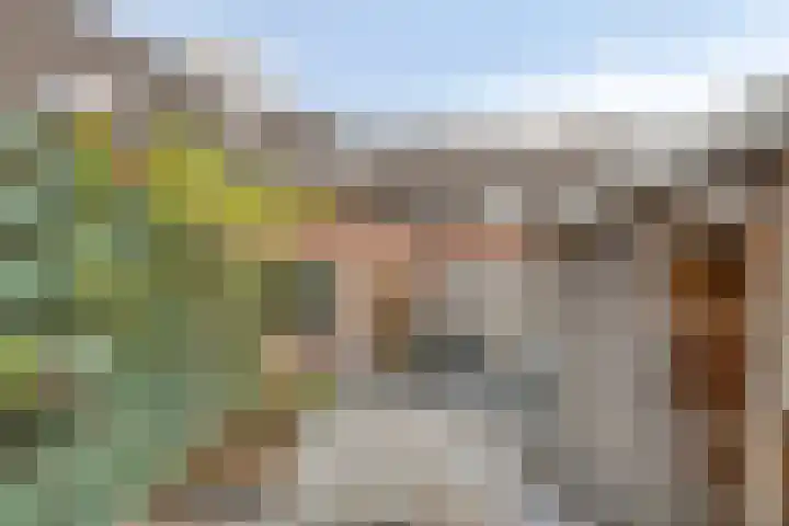 Rietvoornborch 2 Rosmalen thumbnail 24