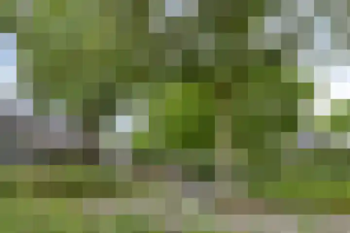 Rietvoornborch 2 Rosmalen thumbnail 27