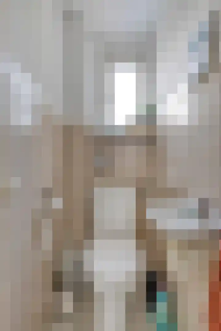 Rietvoornborch 2 Rosmalen thumbnail 5