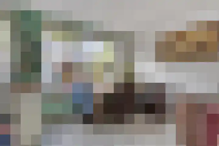 Rietvoornborch 2 Rosmalen thumbnail 7