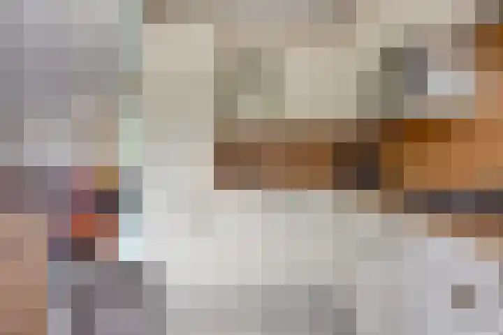 Rietvoornborch 2 Rosmalen thumbnail 8