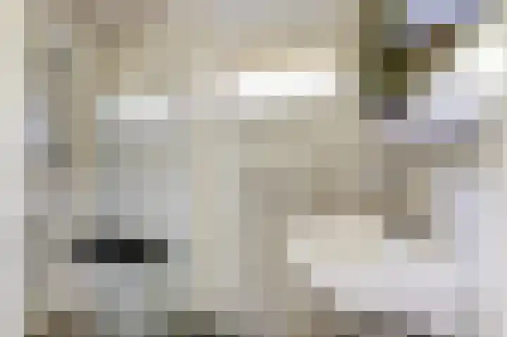 Rietvoornstraat 6 Ooij thumbnail 24