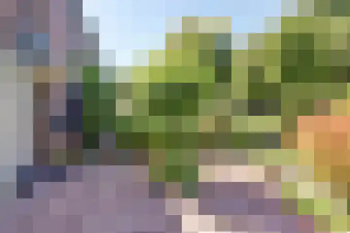 Rietvoornstraat 6 Ooij thumbnail 5