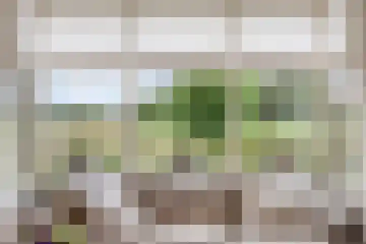 Rietweg 2 Castenray thumbnail 14