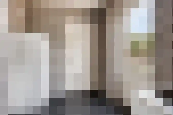 Rietweg 2 Castenray thumbnail 33