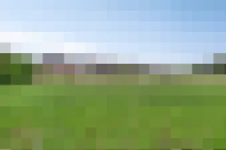 Rietweg 2 Castenray thumbnail 58
