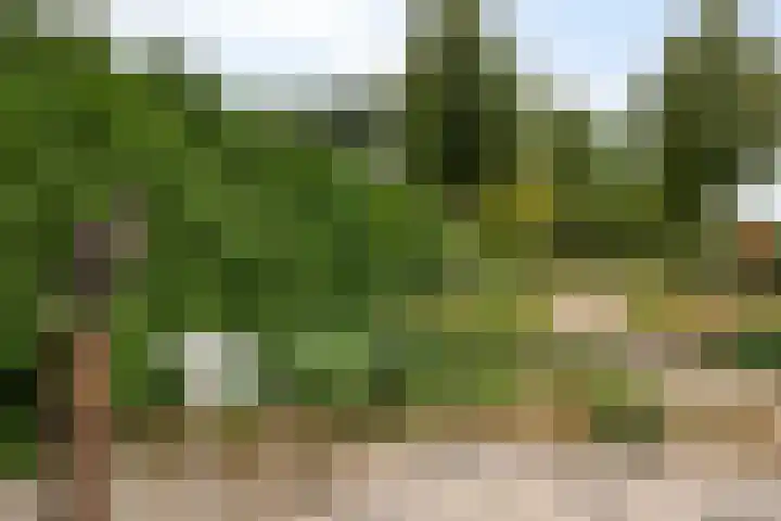 Rietweg 2 Castenray thumbnail 59