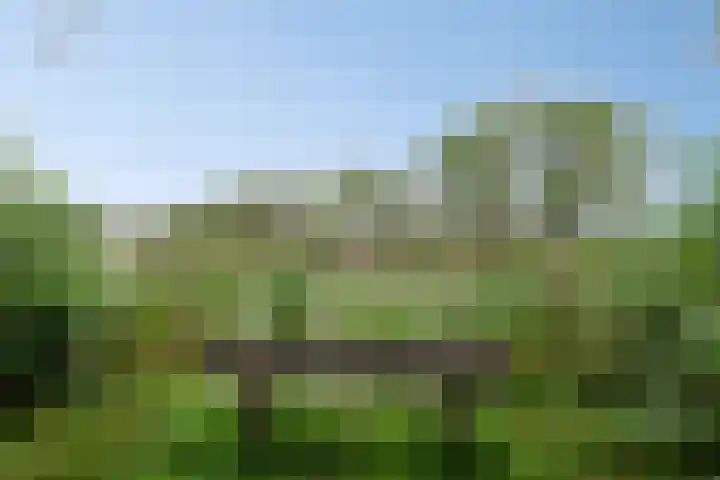 Rietweg 2 Castenray thumbnail 60