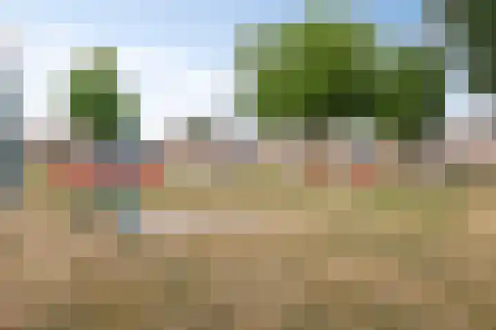 Rietweg 2 Castenray thumbnail 61