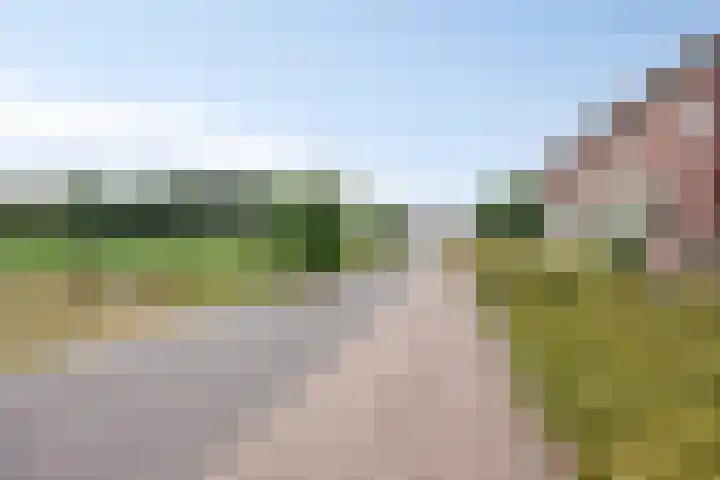 Rietweg 2 Castenray thumbnail 7