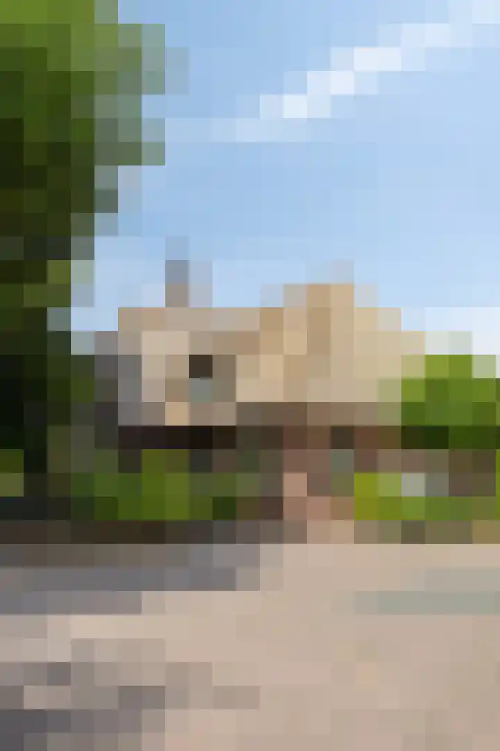 Rietweg 2 Harskamp thumbnail 10
