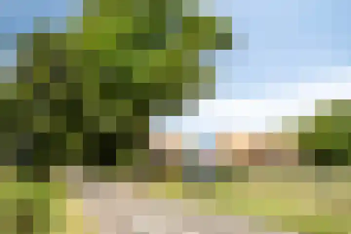 Rietweg 2 Harskamp thumbnail 11