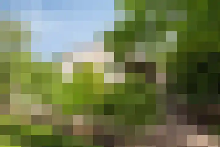 Rietweg 2 Harskamp thumbnail 12