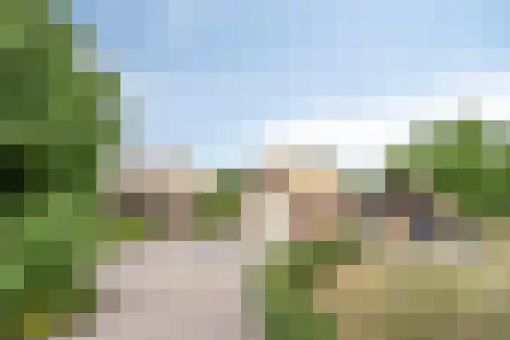 Rietweg 2 Harskamp thumbnail 13
