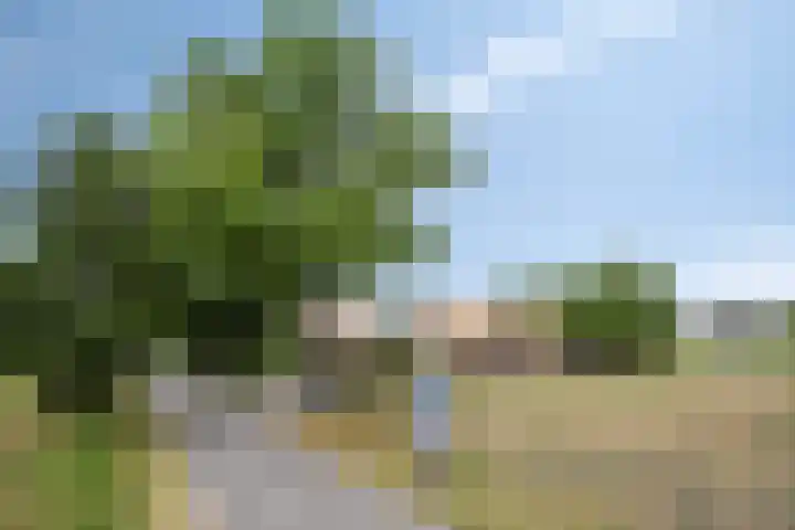 Rietweg 2 Harskamp thumbnail 14