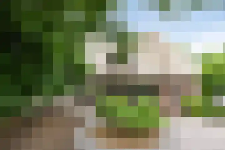 Rietweg 2 Harskamp thumbnail 16