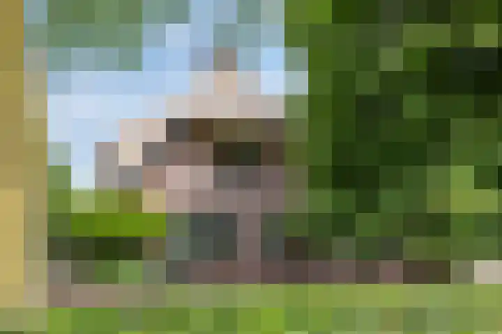 Rietweg 2 Harskamp thumbnail 17