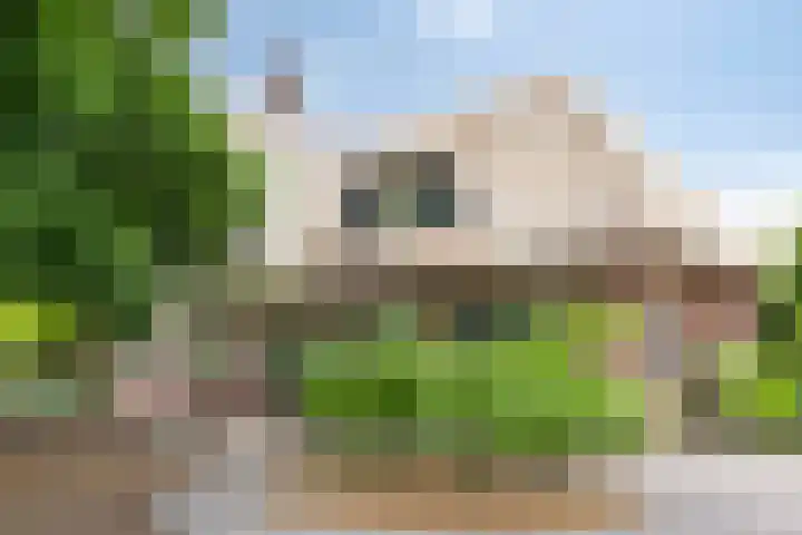 Rietweg 2 Harskamp thumbnail 18