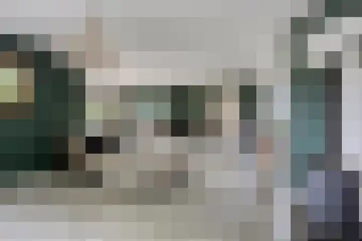 Rietweg 2 Harskamp thumbnail 24