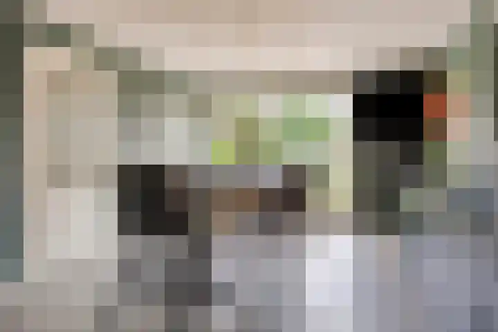 Rietweg 2 Harskamp thumbnail 34