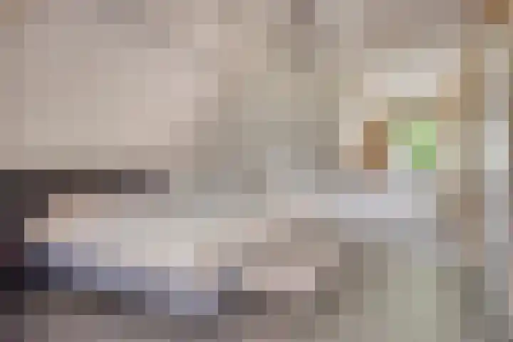 Rietweg 2 Harskamp thumbnail 37