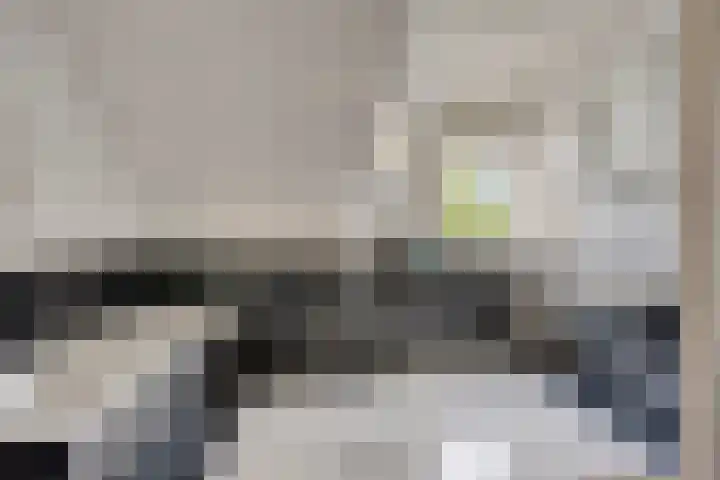 Rietweg 2 Harskamp thumbnail 38