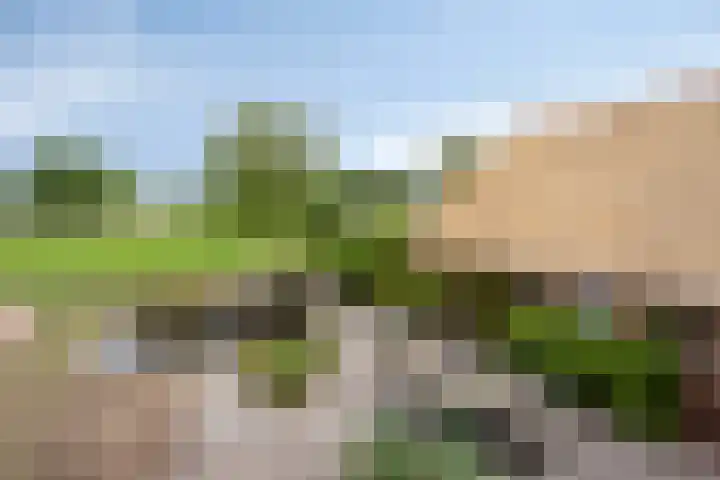 Rietweg 2 Harskamp thumbnail 42