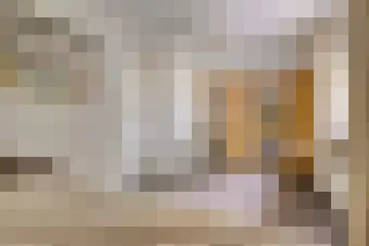 Rietweg 2 Harskamp thumbnail 45