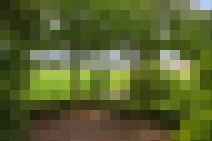 Rietweg 2 Harskamp thumbnail 46