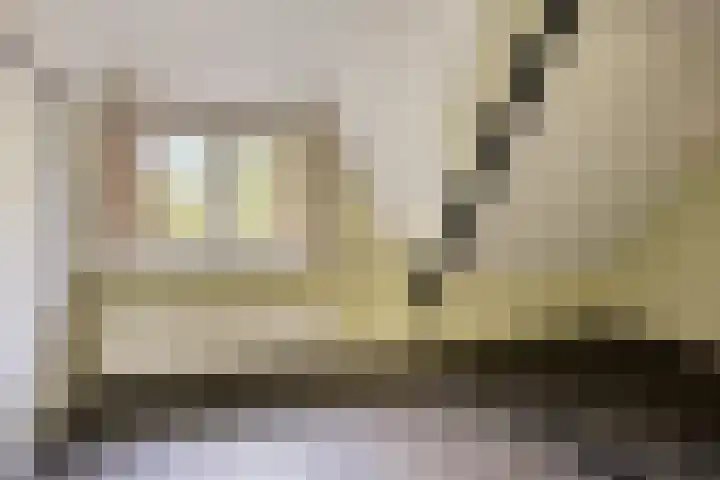 Rietweg 2 Harskamp thumbnail 47