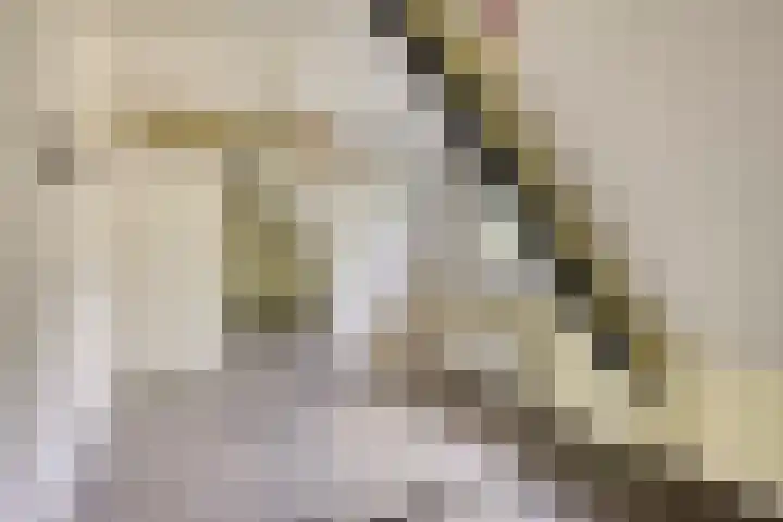 Rietweg 2 Harskamp thumbnail 48