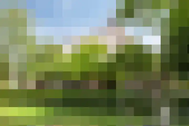 Rietweg 2 Harskamp thumbnail 5