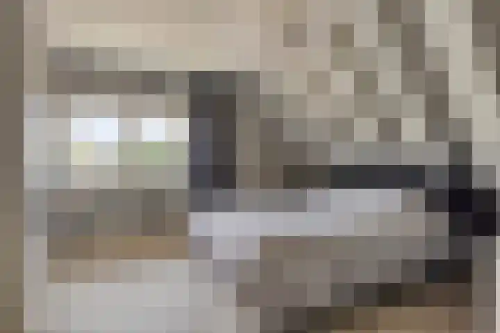 Rietweg 2 Harskamp thumbnail 50