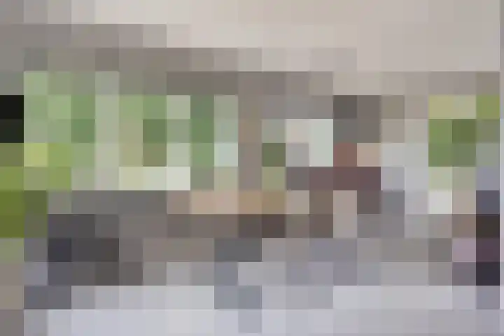 Rietweg 2 Harskamp thumbnail 57