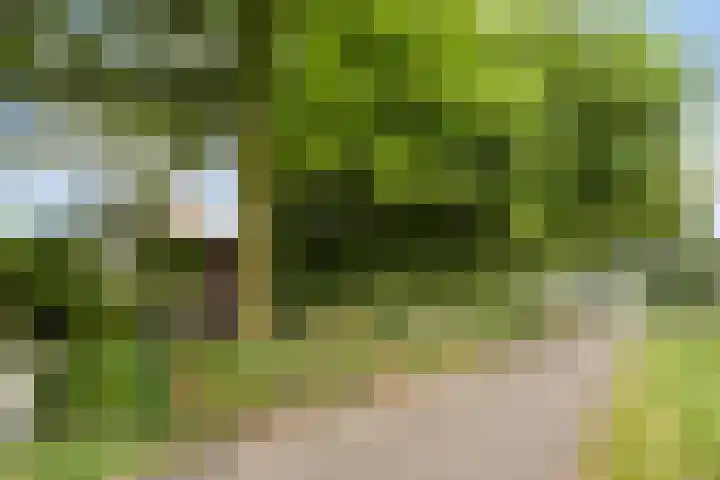 Rietweg 2 Harskamp thumbnail 7
