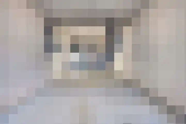 Rietweg 2 Harskamp thumbnail 76