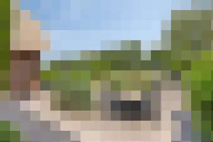 Rietweg 2 Harskamp thumbnail 78