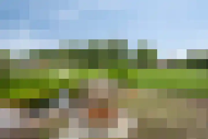 Rietweg 2 Harskamp thumbnail 79