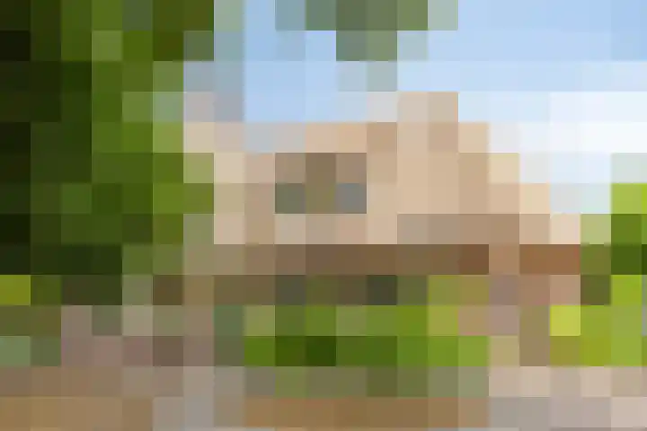 Rietweg 2 Harskamp thumbnail 8