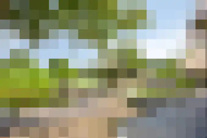 Rietweg 2 Harskamp thumbnail 80