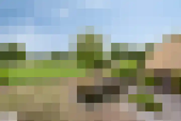 Rietweg 2 Harskamp thumbnail 81