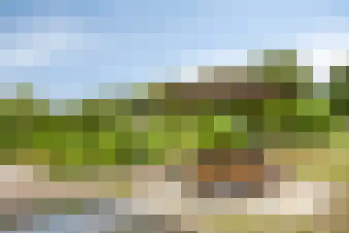 Rietweg 2 Harskamp thumbnail 82