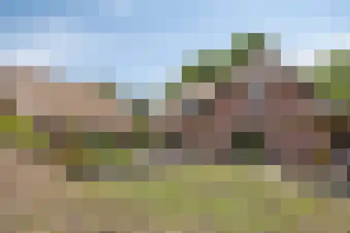 Rietweg 2 Harskamp thumbnail 83