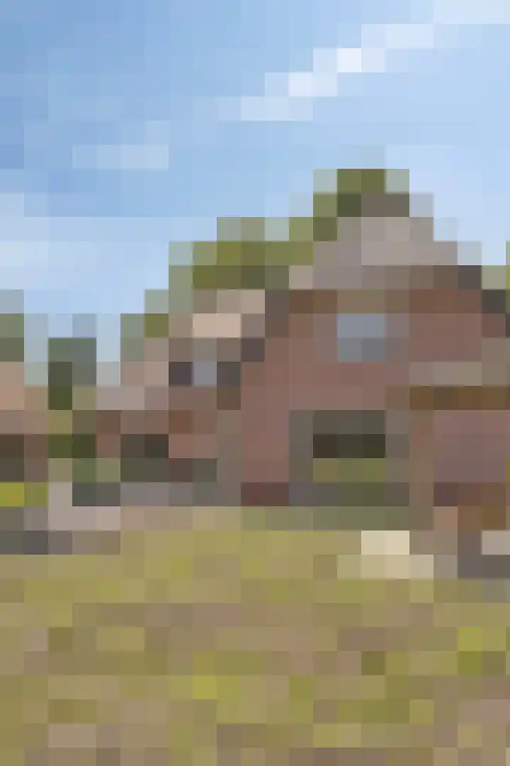Rietweg 2 Harskamp thumbnail 84