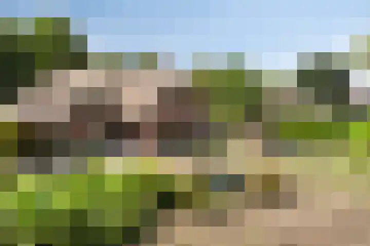 Rietweg 2 Harskamp thumbnail 86