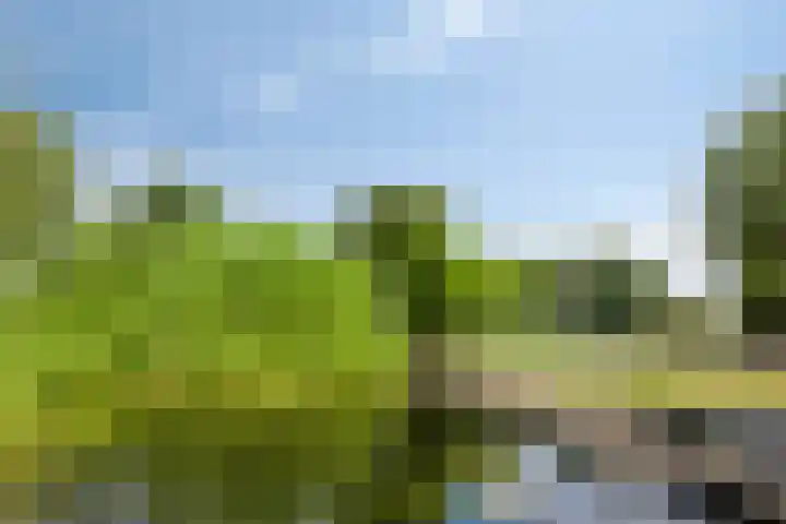 Rietweg 2 Harskamp thumbnail 87