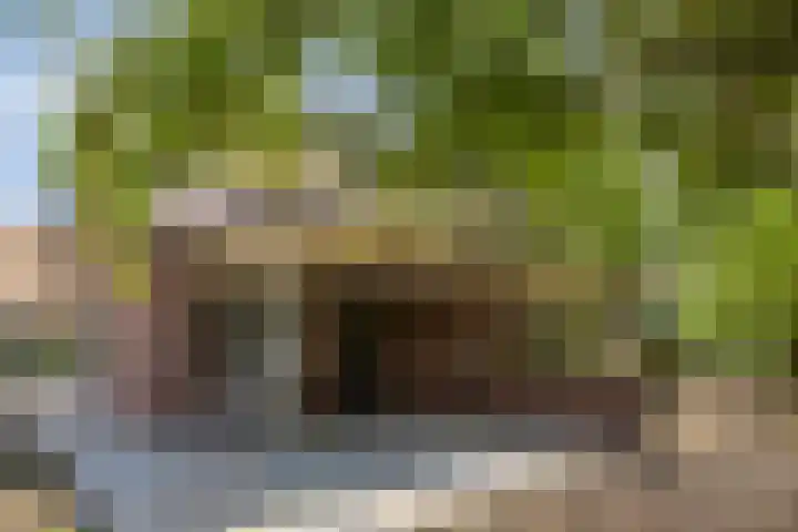 Rietweg 2 Harskamp thumbnail 88